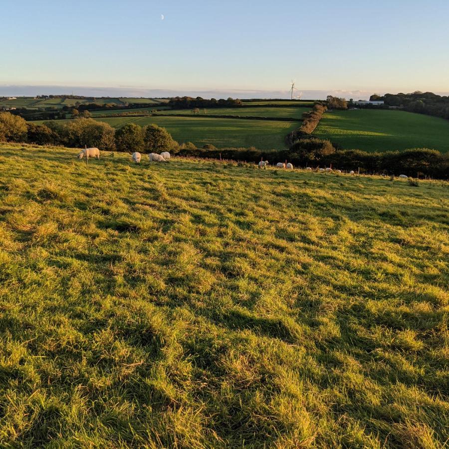 Immaculate Bell Tent Retreat North Devon Bideford Ngoại thất bức ảnh